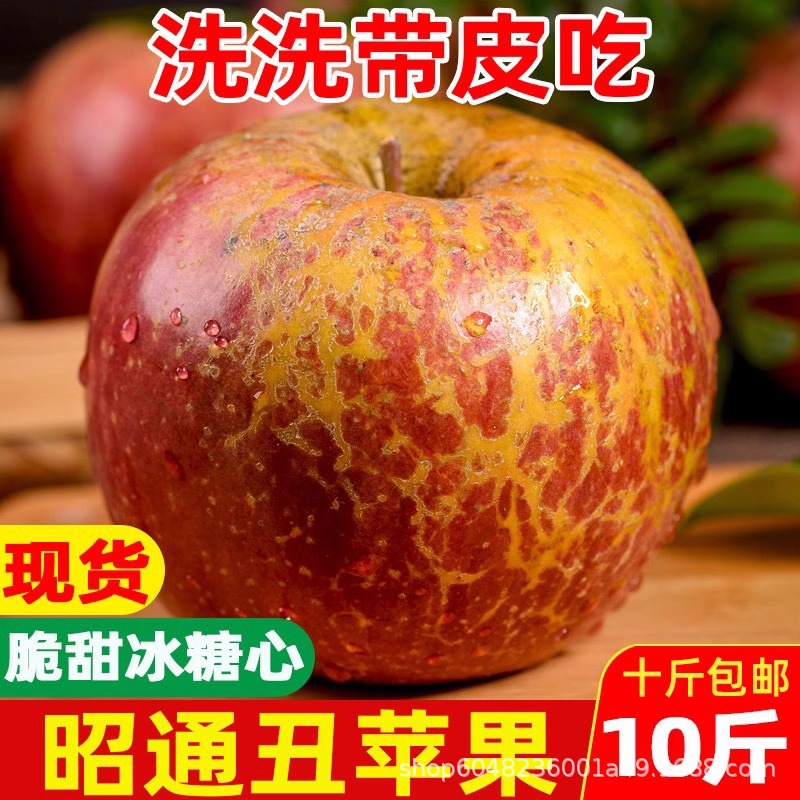 正宗云南昭通丑苹果水果新鲜当季整箱现摘冰糖心苹果甜脆一件代发