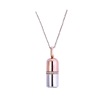 Love I medicine, you Capsule Projective Necklace Female Douyin 100 languages, I love you to give your girlfriend 520 gifts