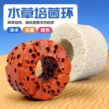 水草培菌环固定环沉底环水草环过滤环定置环鱼缸沉底过滤环新手用