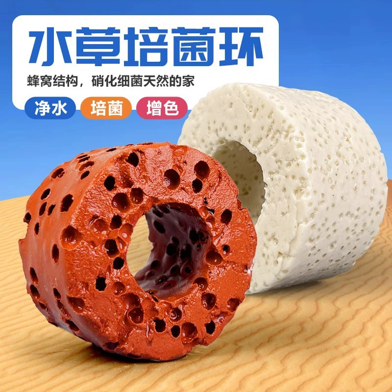 Кольцо для водной культуры растений, фиксированное кольцо, тонущее нижнее кольцо, кольцо для водного растения, фиксированное кольцо, тонущее нижнее фильтрующее кольцо для аквариума для новичков