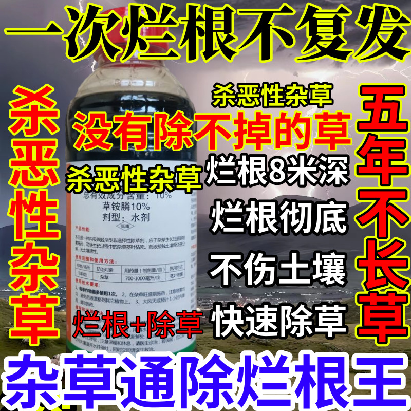 一次烂根不复发精草铵膦铵盐果园烂根小飞蓬耕地强效除草剂烂根王