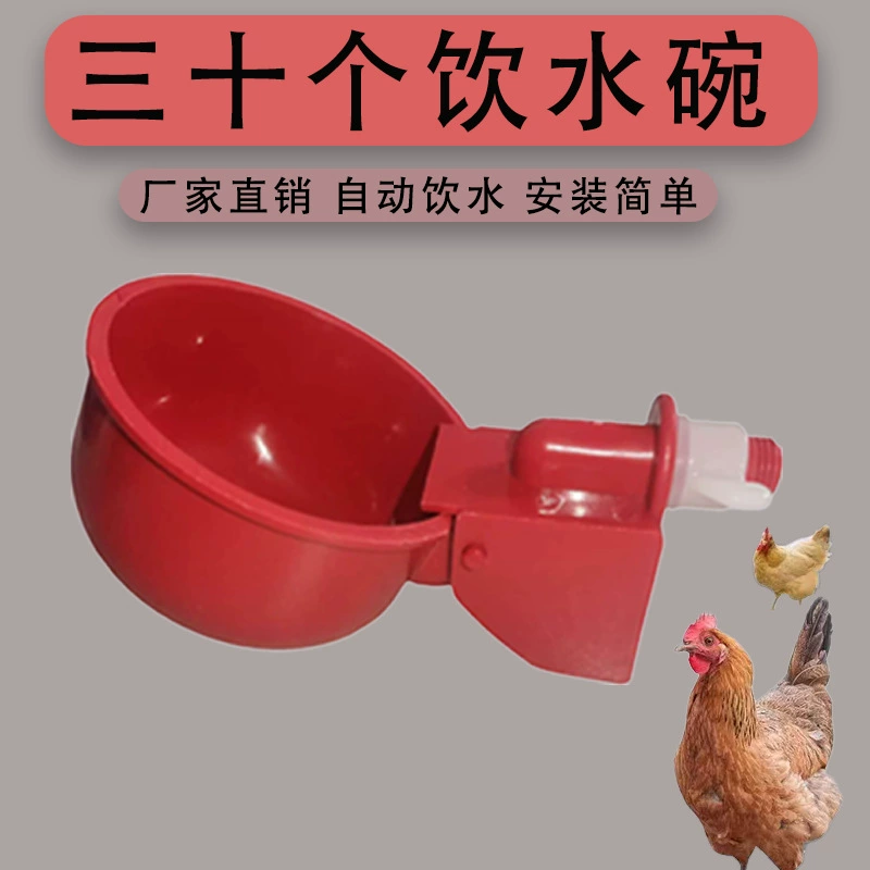 Новая автоматическая поилка и кормушка для кур, уток и гусей с большим ведром.