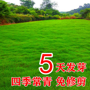 ��ƺ���ѷN���ļ��������޼��������o�¹����G����Ƥ����é������