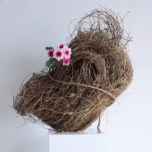 diy�b������߱P�ٻ�Y��ˇ���Ⲽ�ò��φθ��L2��������