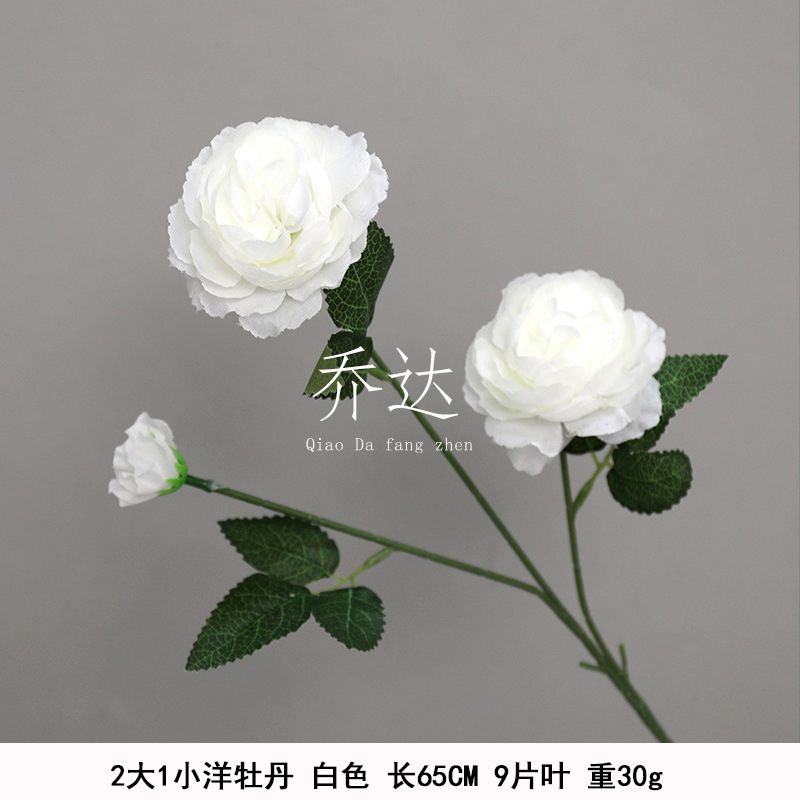 2 grandes 1 pequeña peonía extranjera