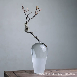 玻璃花瓶透明插花水养鲜花水培植物中式器皿客厅桌面摆件梅瓶净瓶