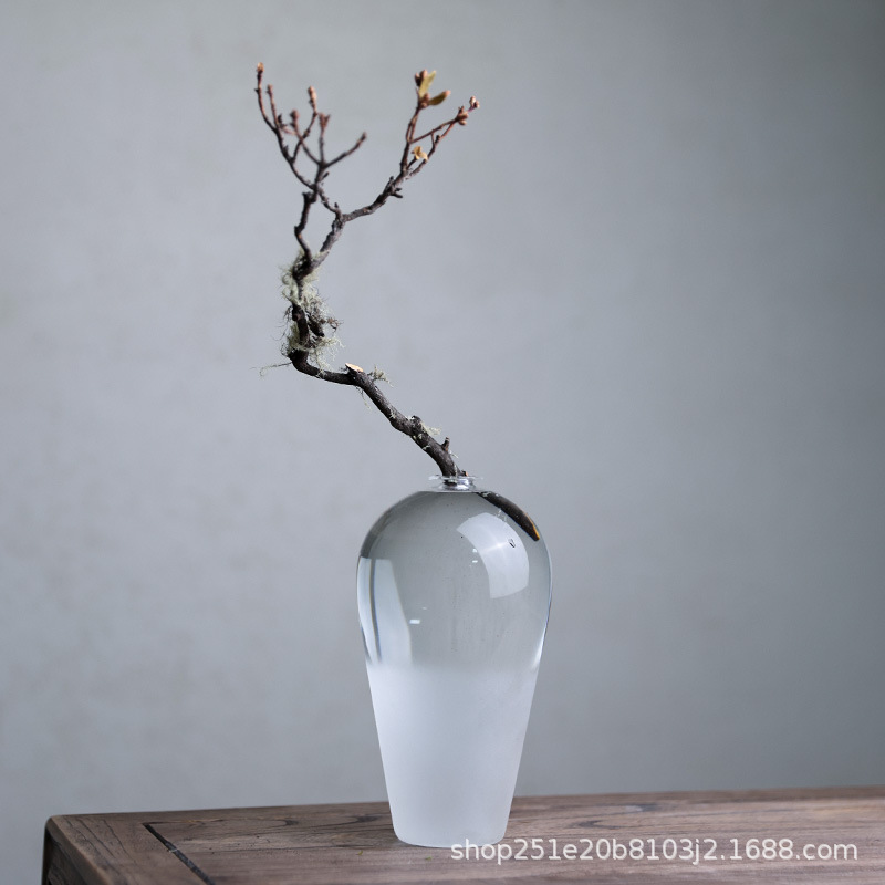 玻璃花瓶透明插花水養鮮花水培植物中式器皿客廳桌面擺件梅瓶淨瓶