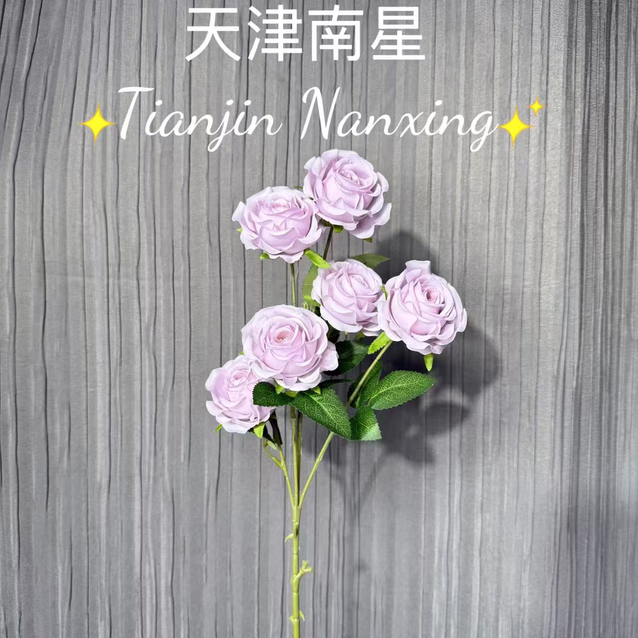 연한 보라색