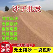 天然河沙儿童细沙种花冬眠造景乌龟沙鱼鱼缸多肉底沙种植建筑沙子