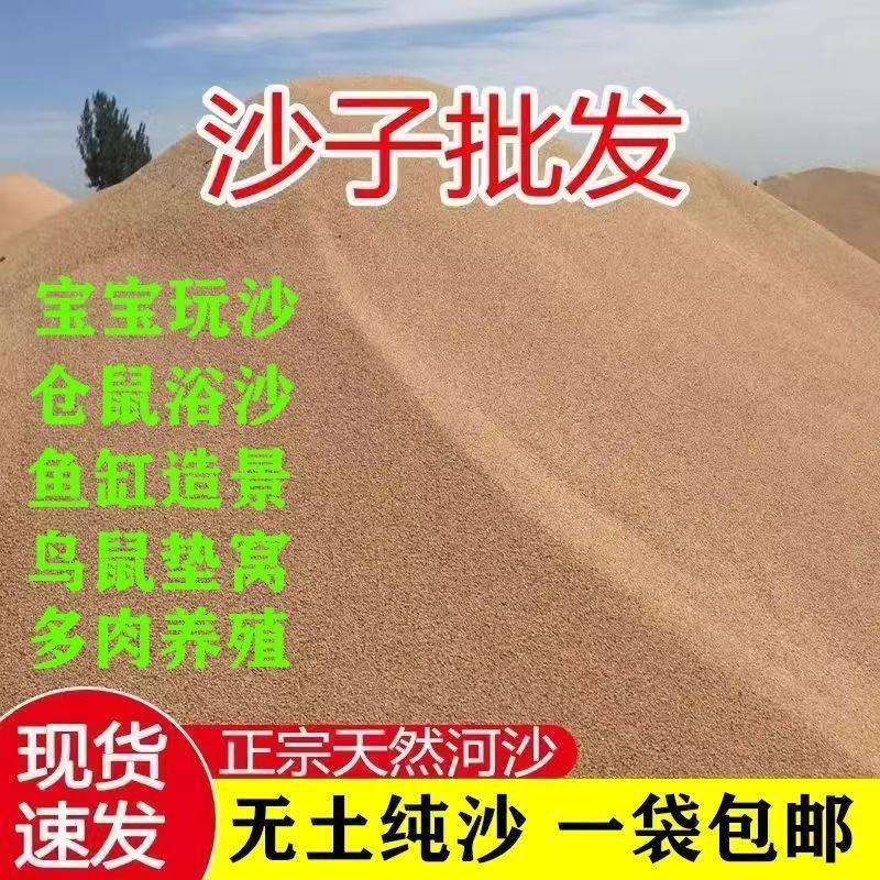 Natural River Sand for Children, Fine Sand for Planting Flowers, Hibernating, Landscaping, Turtle Sand, Fish Tank, Succulent Substrate, Planting, and Construction Sand Natural River Sand for Children, Fine Sand for Planting Flowers, Hibernating, Landscaping, Turtle Sand, Fish Tank, Succulent Substrate, Planting, and Construction Sand