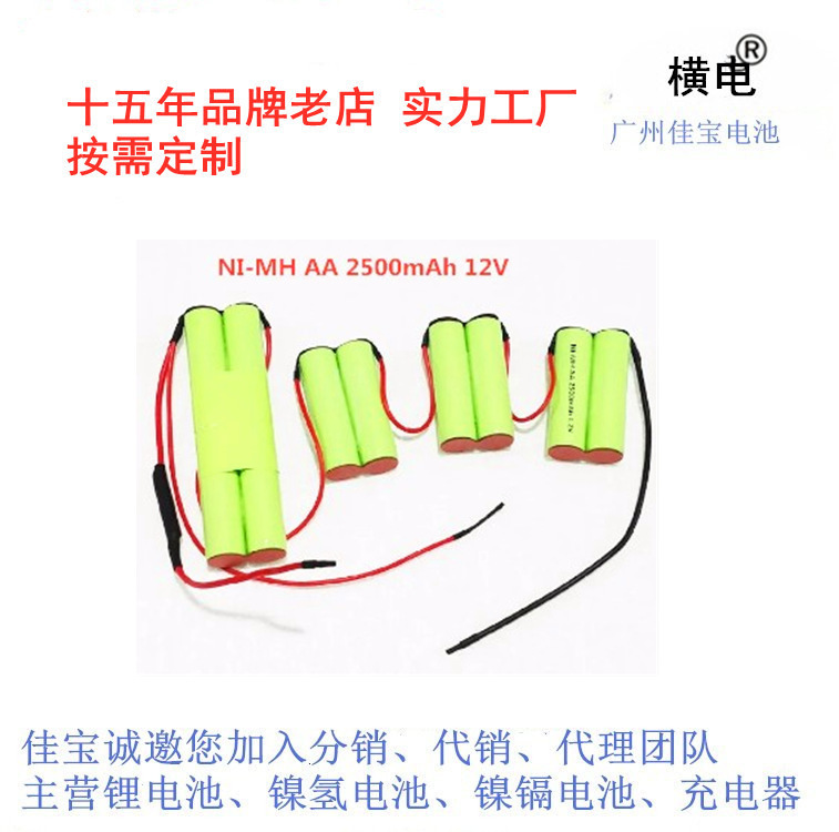 适用于伊来克斯吸尘器ZB2901 2902 2905 2933 12V2.h镍氢电池组