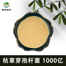 ˮ�ܿݲ�ѿ�ߗU��1000�| ��� ����ˮ�a�Bֳ�������� ΢���Bԭ��