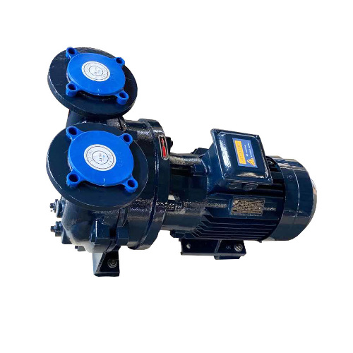 山东道尔顿厂家生产2BV5110水环式真空泵 供应2BV不锈钢真空泵