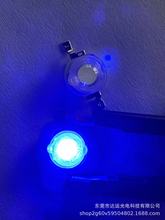 高亮大功率1W3W5W发光二极管小LED灯珠粒手电筒灯珠强光正白蓝光