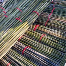 厂家直搭架细竹竿搭绿豆角架竹竿2.4米长2公分左右6毛 1.5公分粗