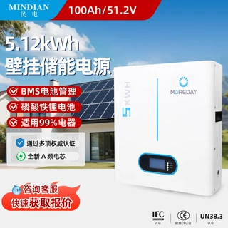 壁挂式储能磷酸铁锂电池5度电家储光伏储能系统家用离网户用混网