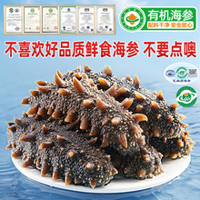 �ЙC���B��ʳ�������Sֱ�I���l ��|�̅��rʳ�����̳��Fُ����