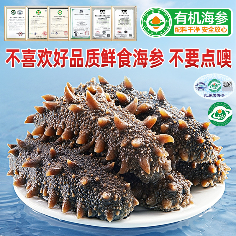 有机大连即食海参工厂直营批发 深海辽刺参鲜食海参商超团购供应