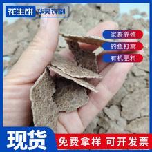 ���S�������������ե���㻨�����ߵ�����ϻ�����Ƭ�F؛������