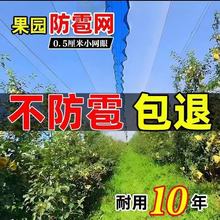 定制防冰雹网白色防雹网葡萄果园防鸟网大棚农田果树防护网加厚