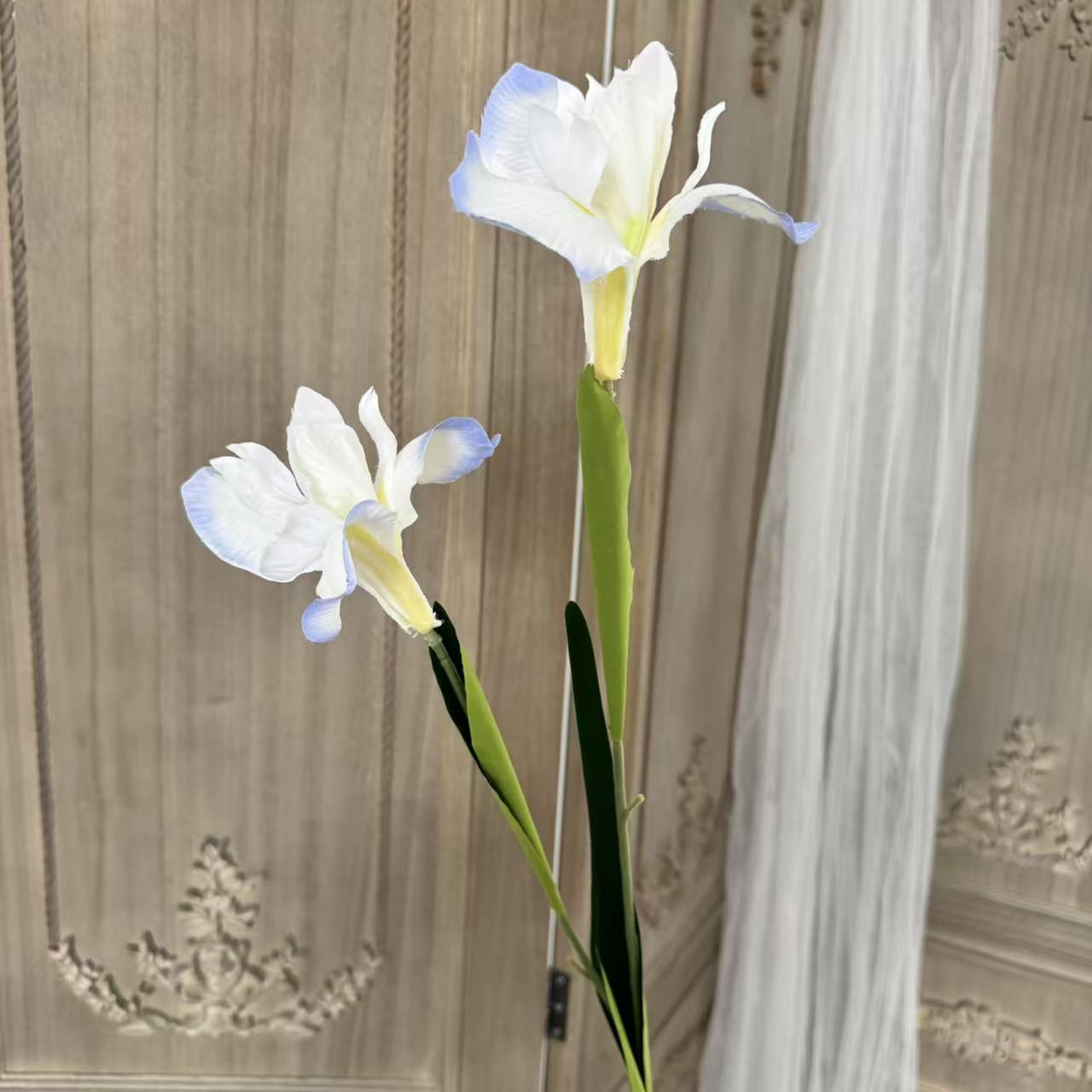 흰색 파란색