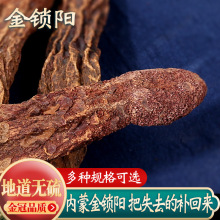 ɽiiƬ500gaݾˮɐƬ޽؛