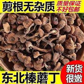 干长白山丁无根东北榛蘑新包小鸡蘑菇炖土特产野生蘑菇榛蘑