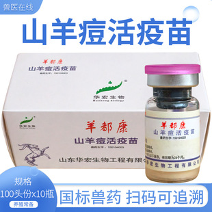 100�^�������򶻿�ɽ�򶻻�����100�^���A��ɽ��d����ţ�Y����