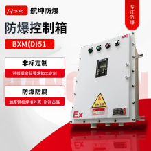 气动阀门非标照明动力配电箱应急集中电源控制柜防爆控制箱