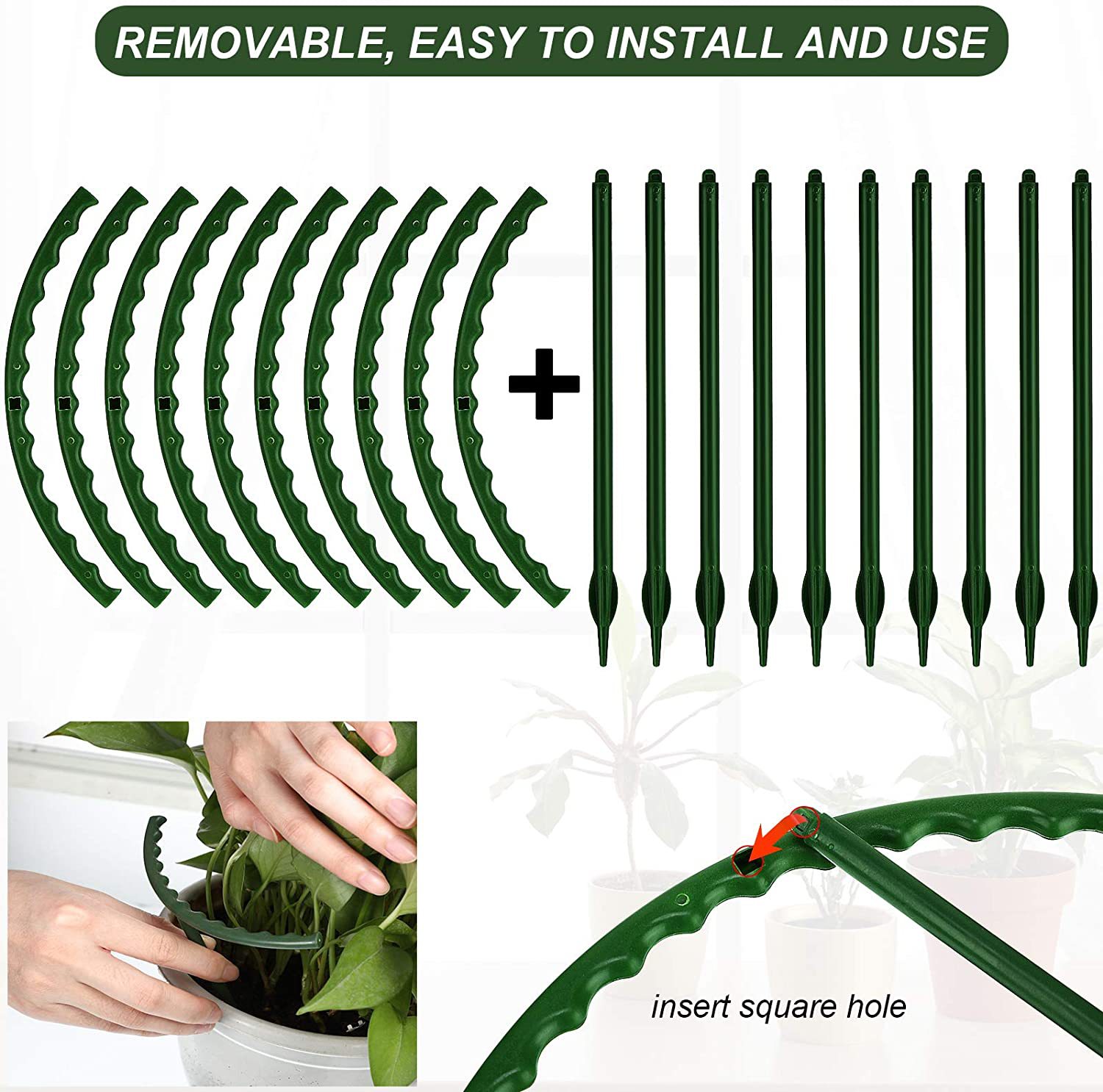 81pmD2YdA7L._AC_SL1500_