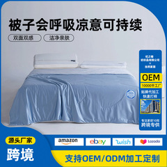Dr Wellnest A类凉感冰丝夏凉被空调被夏季双面雪糕被水光冰皮被