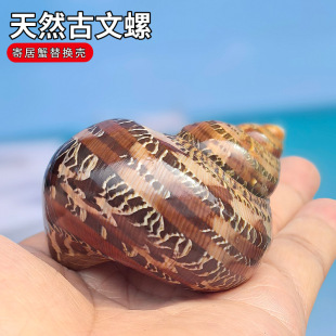 封装袋