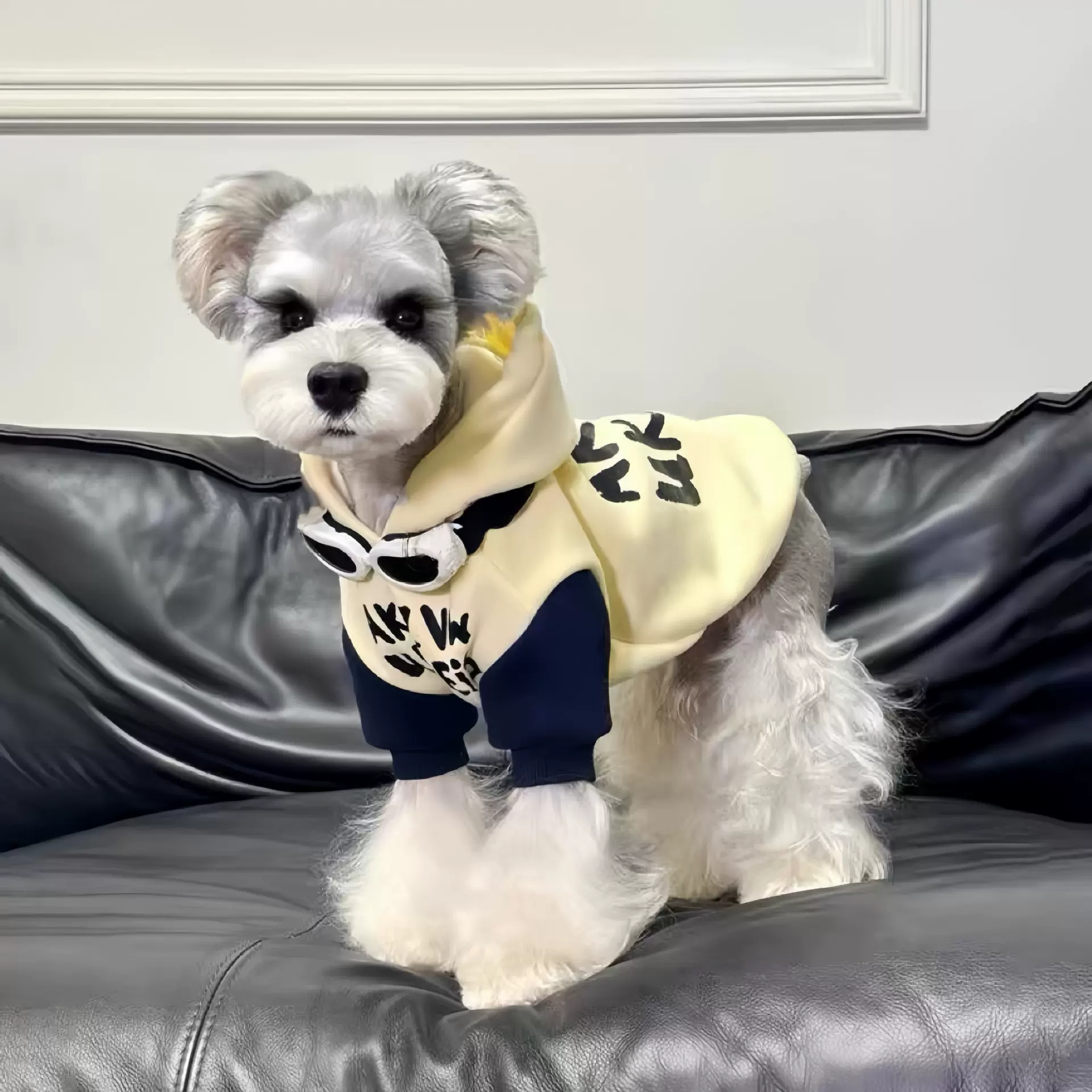 狗狗卫衣秋冬季保暖泰迪比熊小狗宠物衣服冬装防寒外出服狗狗衣服