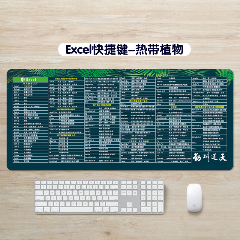EXCEL 바로 가기 키-열대 식물 에디션
