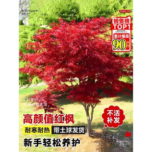 һ�����l�Ї��t�������ļ��ձ��t�輧ͥԺ�Ϙ�ֲ��e�������ͺ���