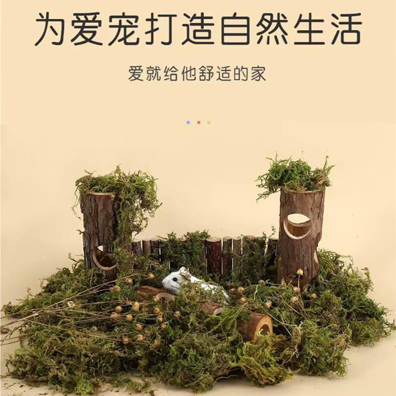 仓鼠树洞玩具金丝熊宠物杉木躲避屋树桩笼子造景打洞隧道磨牙解闷|undefined