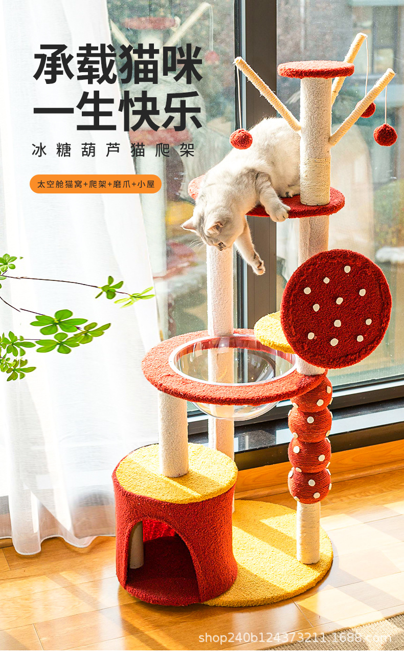 棒棒糖详情_01.jpg