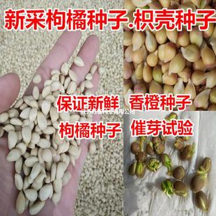 2022�²����ٷN���ך��N���۽ۼt�ٸ�����ȼt���ѻh����ľ��N��