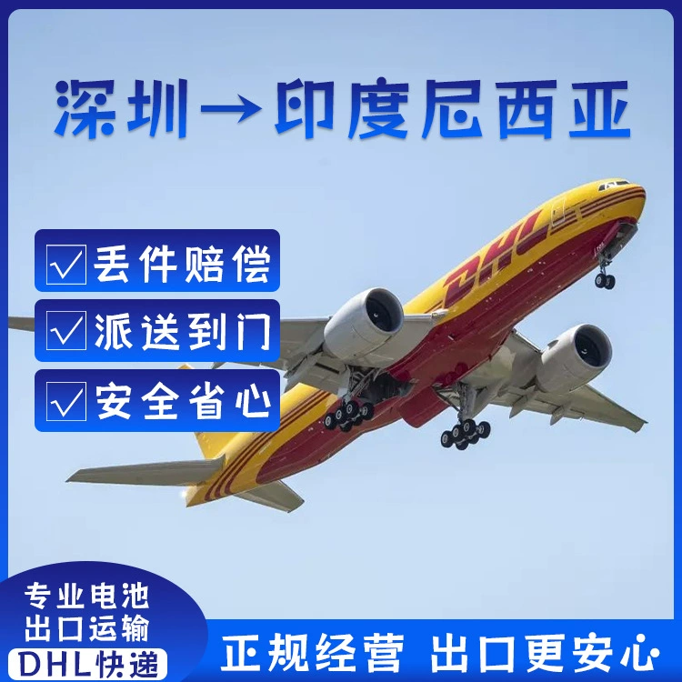 Литиевая батарея Шэньчжэнь DHL Экспресс по почте в Индонезию Двойная очистка Дверь Юго-Восточной Азии Логистическая линия DDU