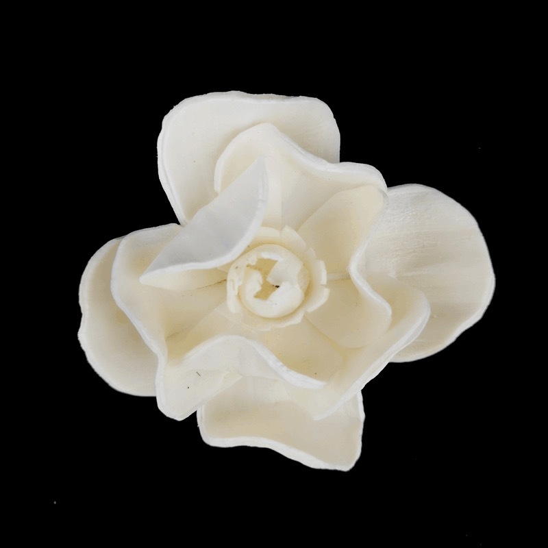 6cm栀子花