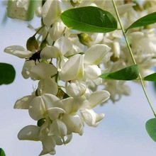 GеLе仱ϻ뻱̻󻱘绨ֲ