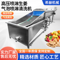 多功能自动洗菜机生姜清洗机水果蔬菜清洗设备大型商用气泡清洗机