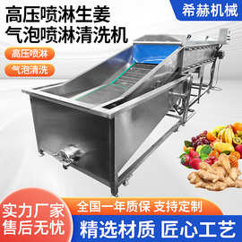 多功能自动洗菜机生姜清洗机水果蔬菜清洗设备大型商用气泡清洗机