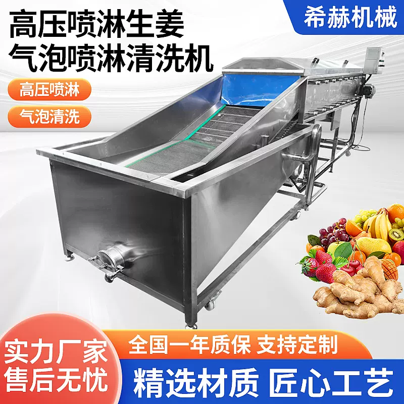 多功能自动洗菜机生姜清洗机水果蔬菜清洗设备大型商用气泡清洗机