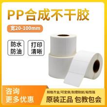 PP合成纸不干胶标签纸60X40 30 20 50 70 80 90 100卷筒条