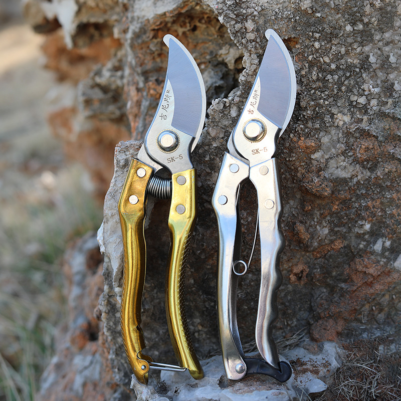 Longdi Hardware Garden Tool Pruning Shears Labor-saving Guinness Boxed Fruit Branch Pruner Rough Branch Pruner Fruit Tree Bending Scissors