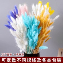 Ⱦɫ��β�ݸɻ���β�Ͳݲ廨������ľӼ��b��������ɻ��������l