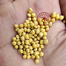 PAI�����K��4203L�Sɫ����֬�����������������S�o�̼����zԭ��