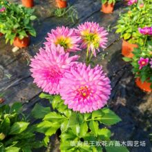 ������С�������ع����ļ��҃����̨����ͥԺ���������^�p����