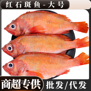 �tʯ���~�r������ʯ���~�����r��������~���l���F�~���l���ô��l